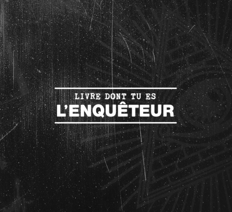 Signets Livre dont tu es l'enquêteur