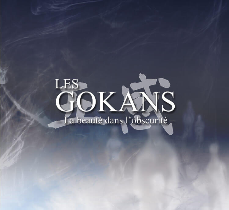 Couverture Les Gokans