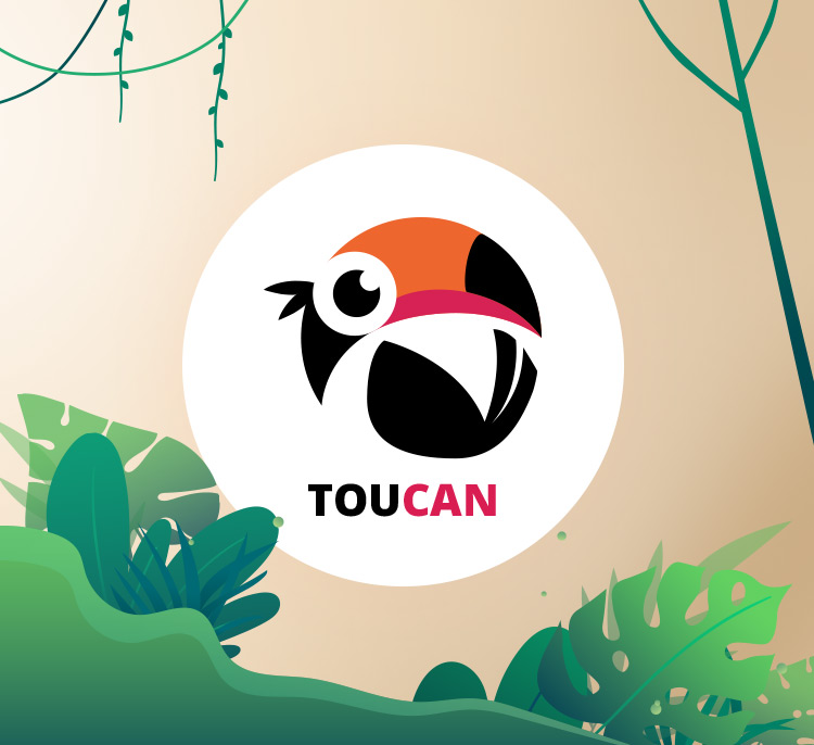 TOUCAN